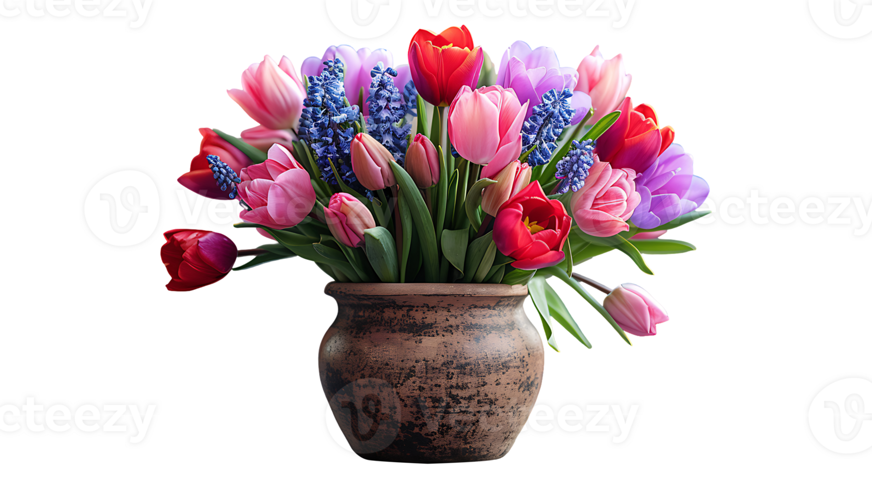 Beautiful natural tulip flowers in a pot on a transparent background png