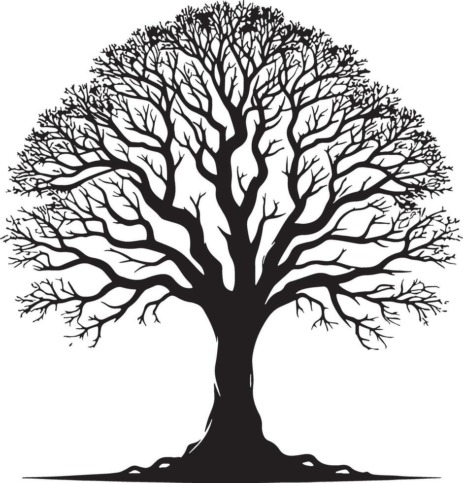 Black Tree silhouettes in black on white background vector