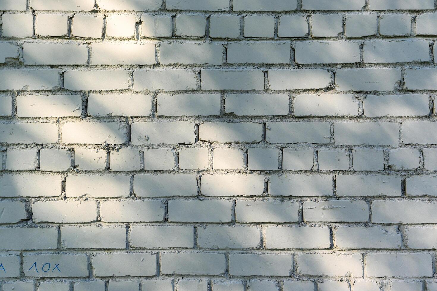 shadows from tree leaves on a light brick wall 2 photo