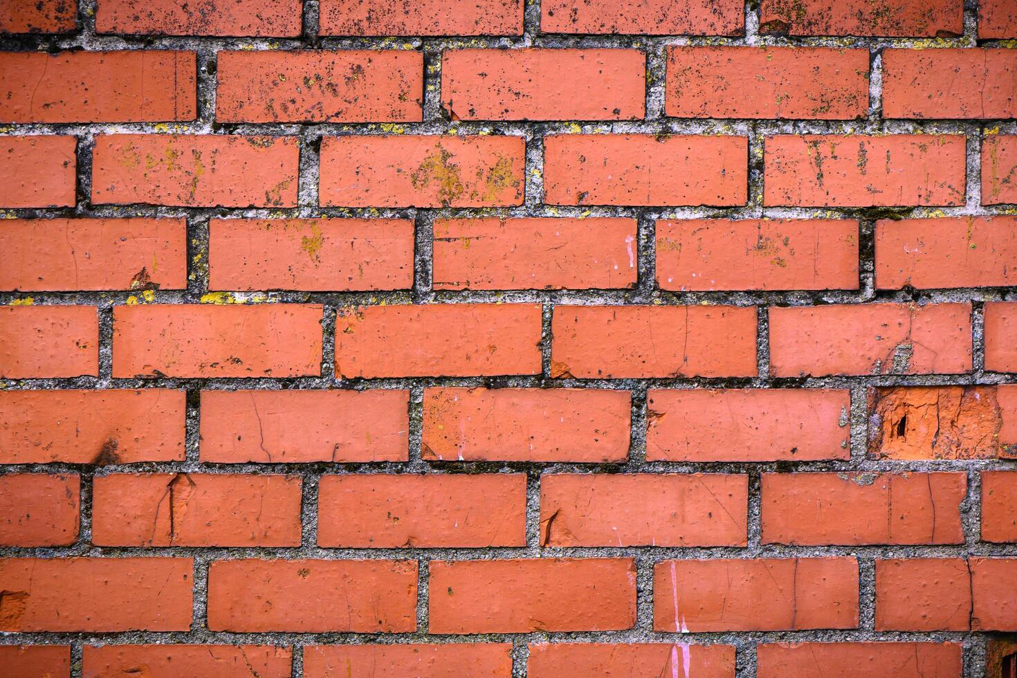 Old grunge brick wall background 1 photo