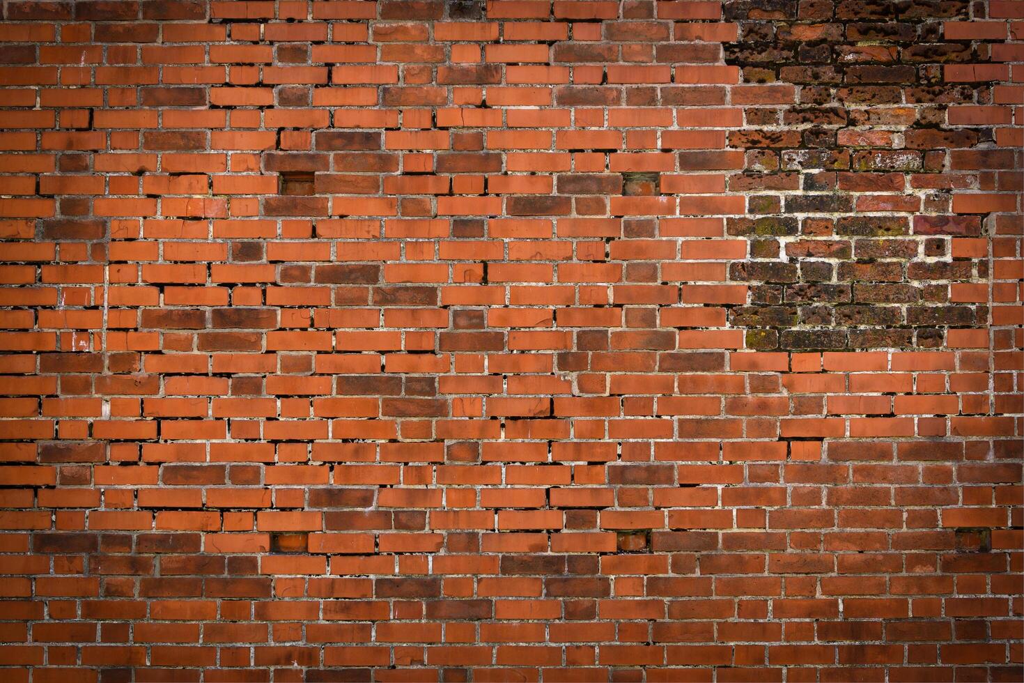 the old red brick wall photo