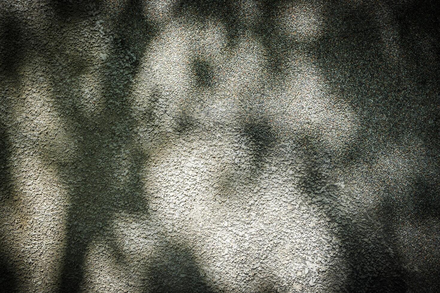 Shadow of leaves on grayish concrete wall texture background photo