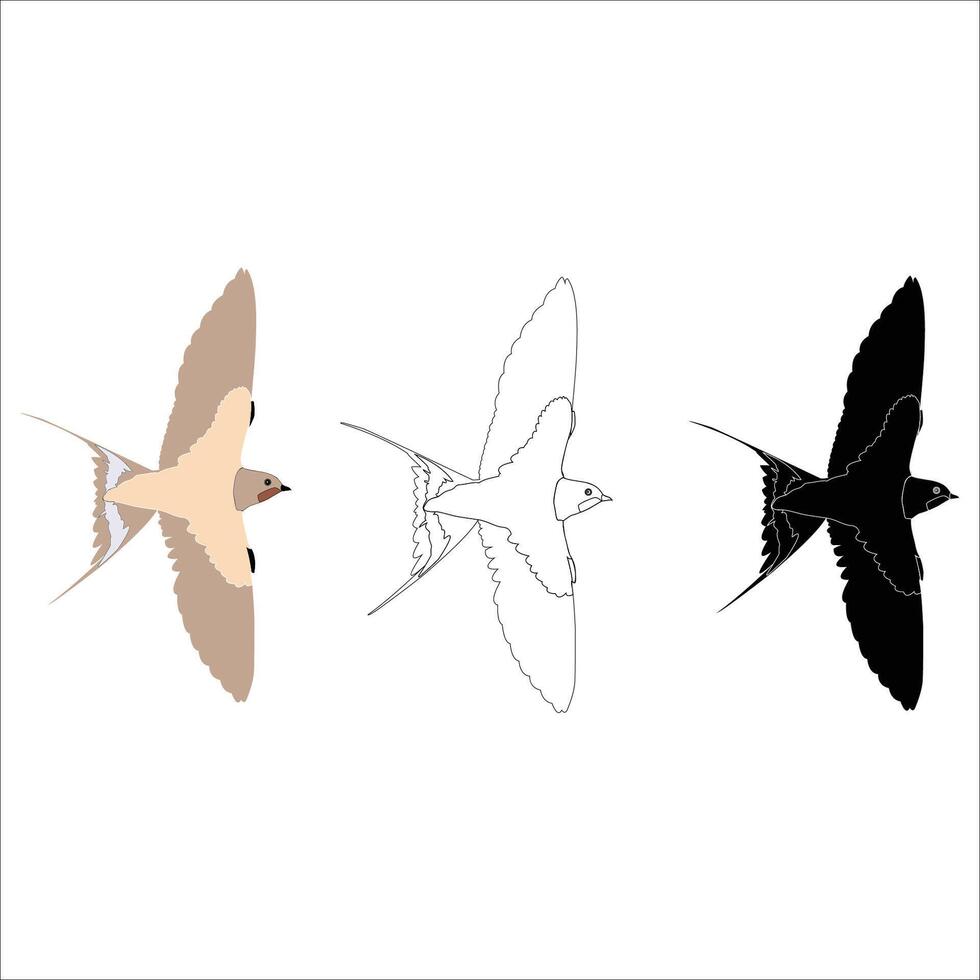 Birds silhouette art illustration vector