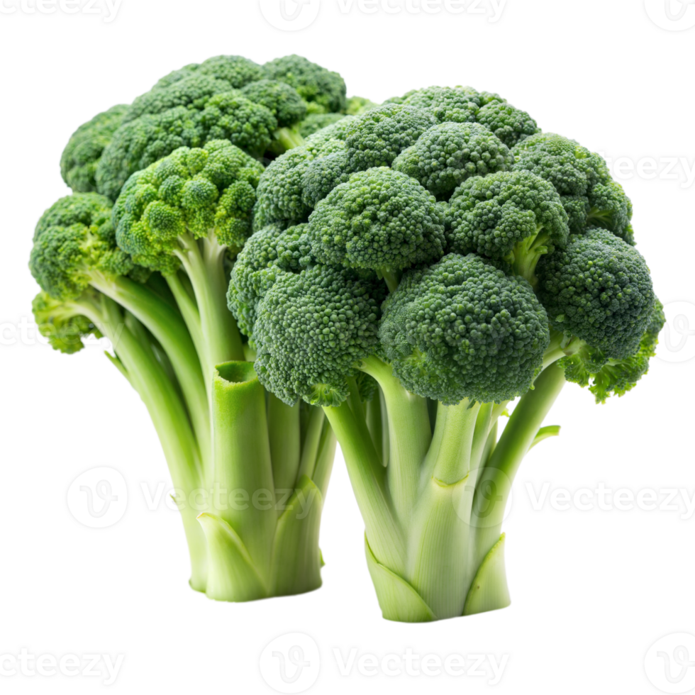 Two Fresh Green Broccoli Florets Isolated on Transparent Background png