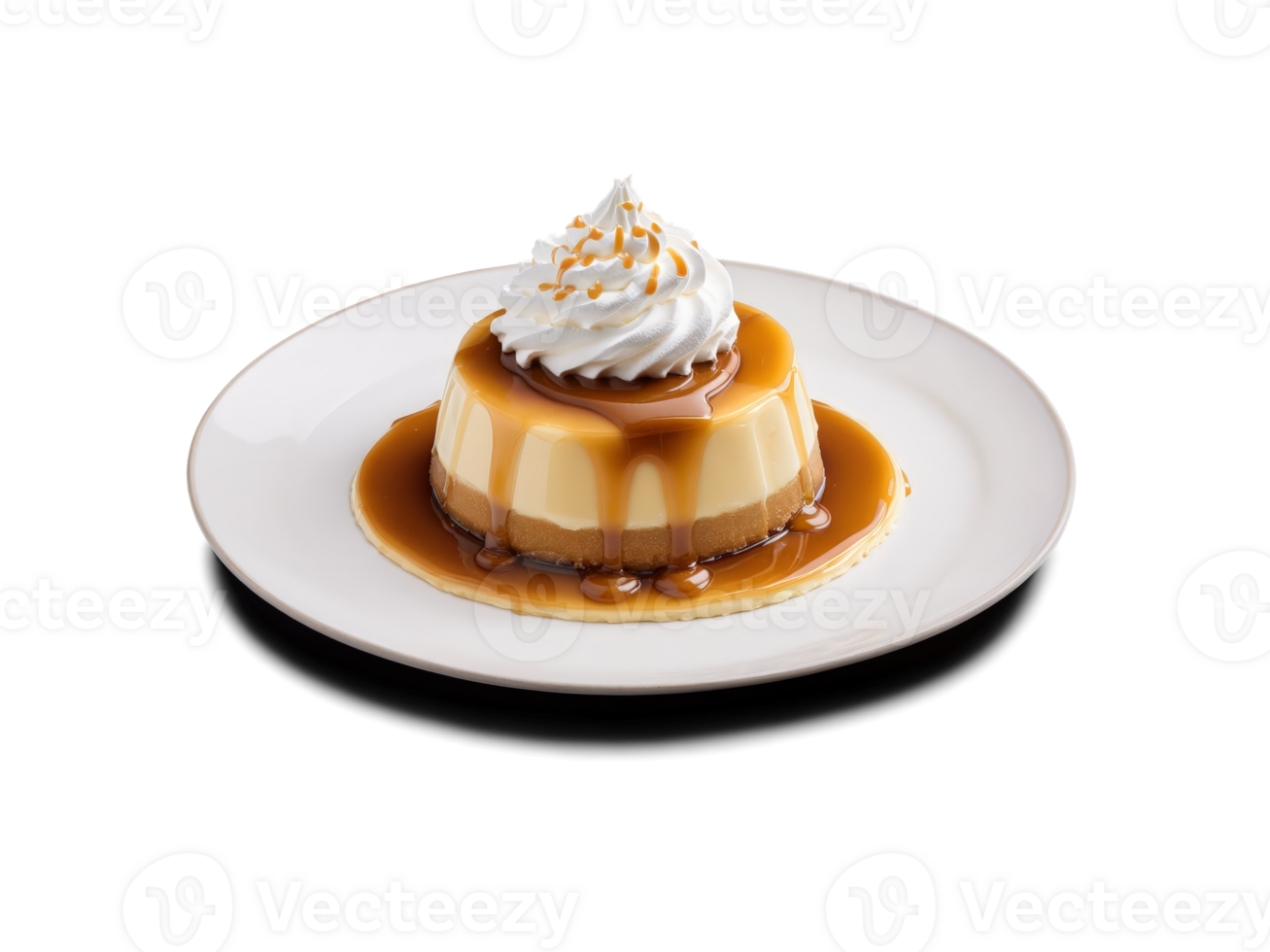 Flan with caramel sauce and whipped cream png