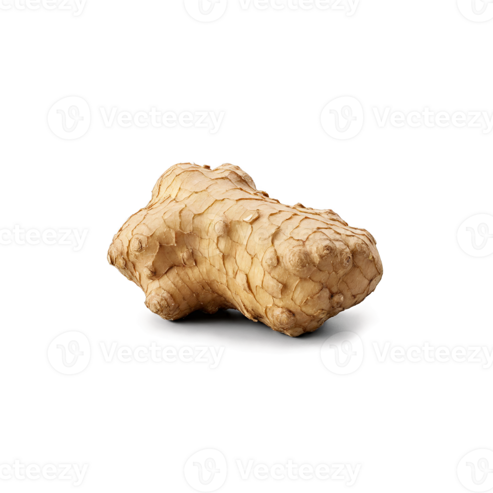 Fresh ginger root light brown skin textured surface irregular shape Food and culinary concept png