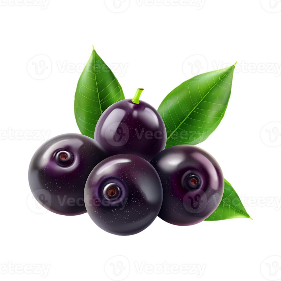 Huckleberries on Transparent Background png