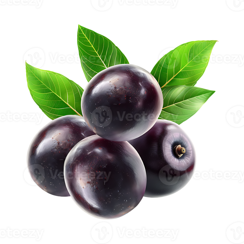 Huckleberries on Transparent Background png