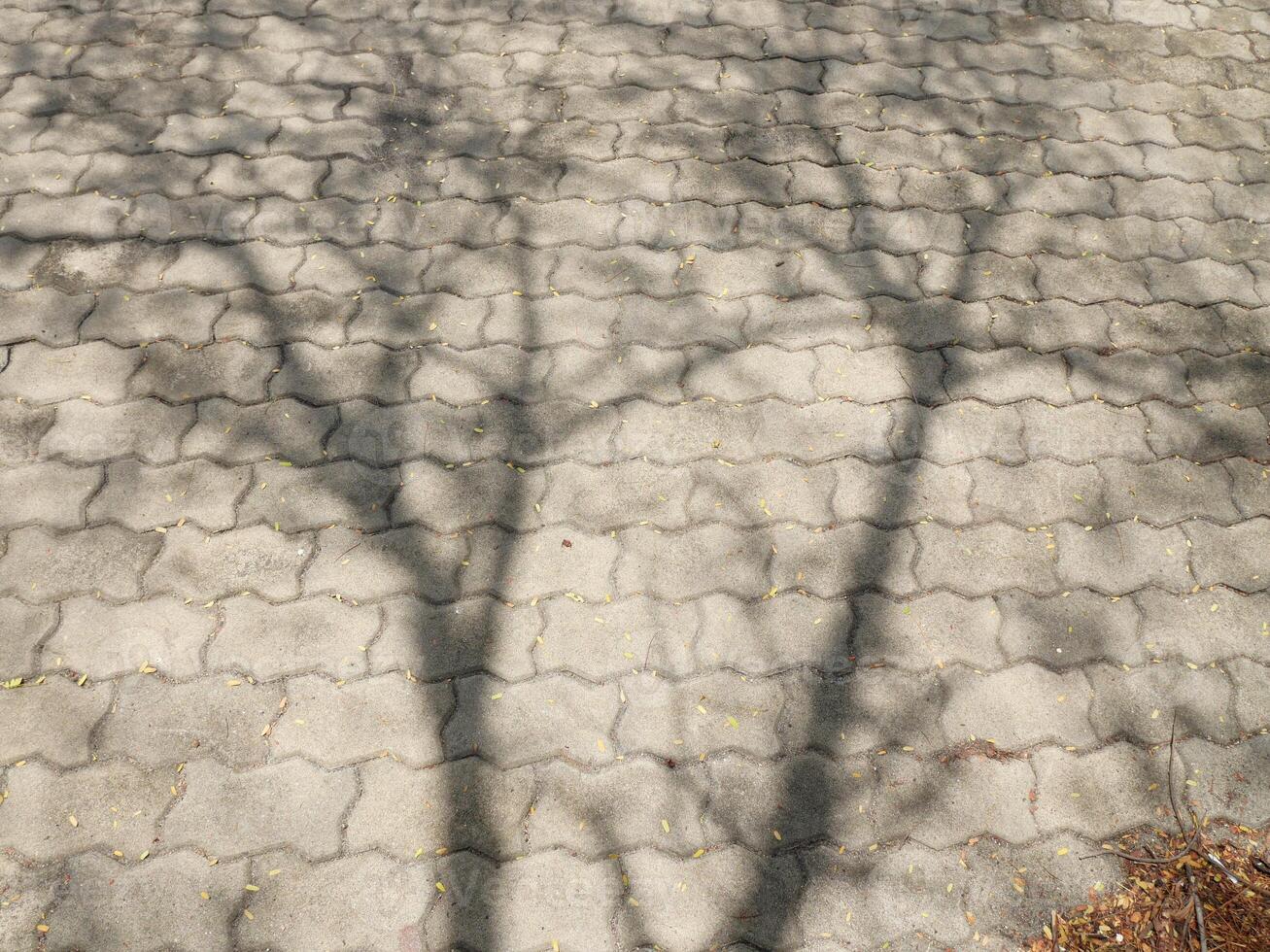 abstract photograph of the shadows of the trees cast across the brick block courtyard photo