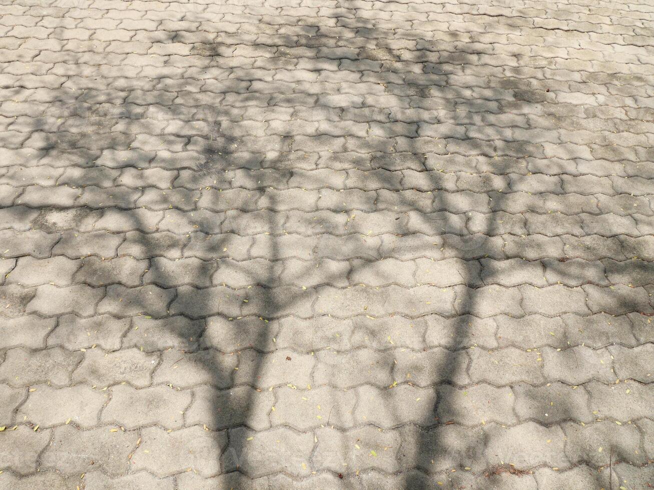 abstract photograph of the shadows of the trees cast across the brick block courtyard photo
