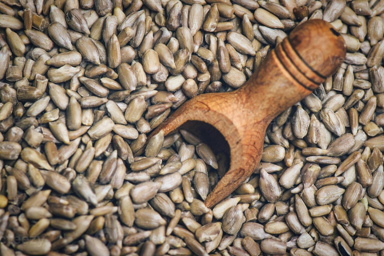 Sunflower seeds with wooden scoop photo