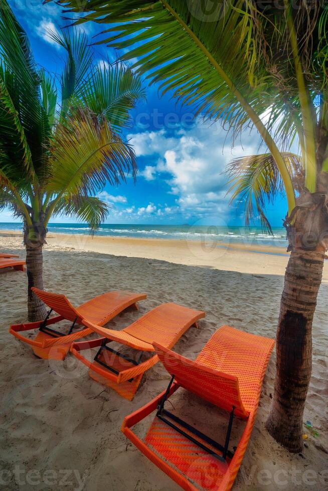 Beach chairs and coconut palm tree with blue sky background on the tropical beach at daytime photo