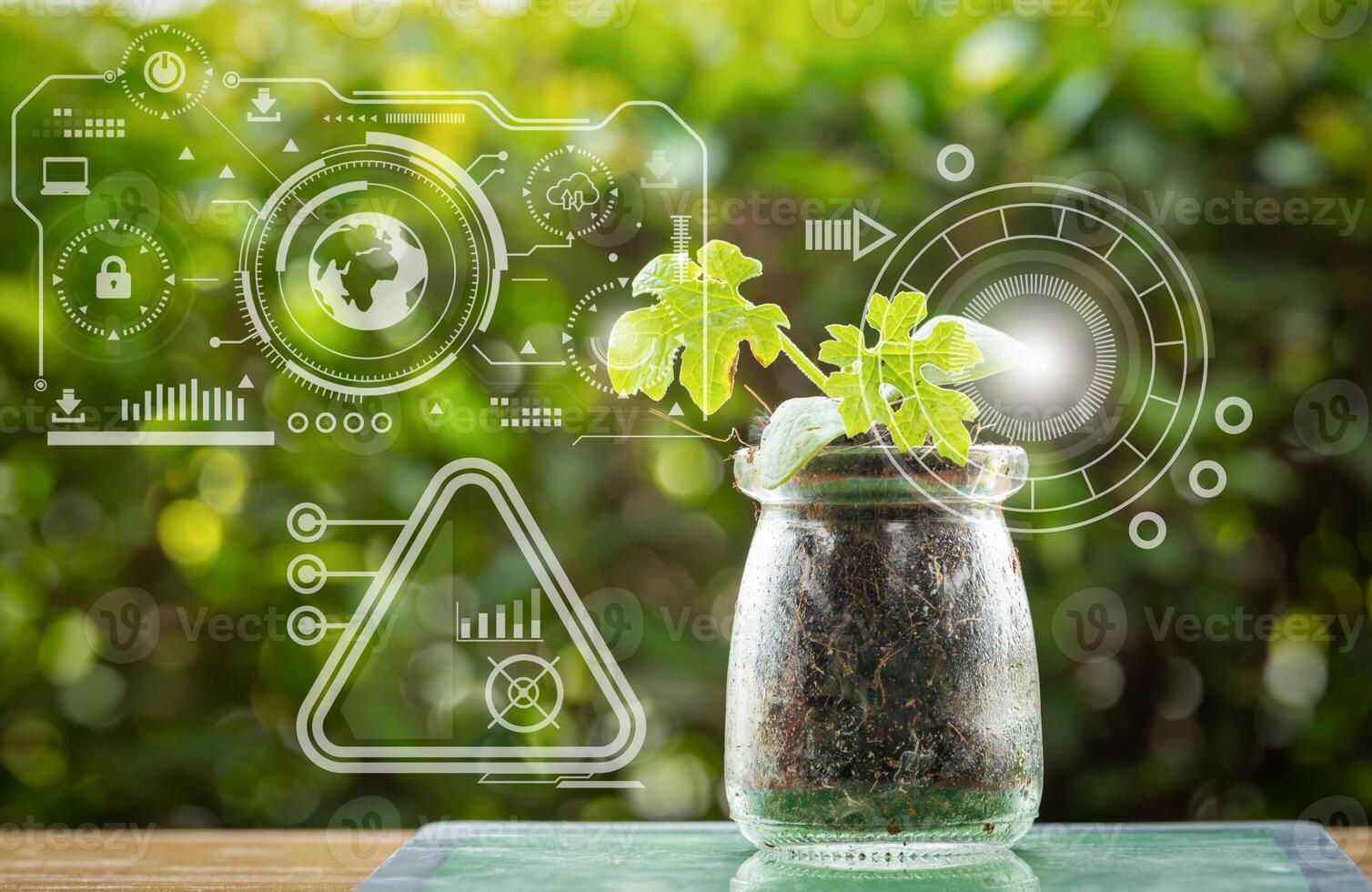 Plant tissue culture growing in laboratory bottles on green blurred background for biotechnology, research and development background photo