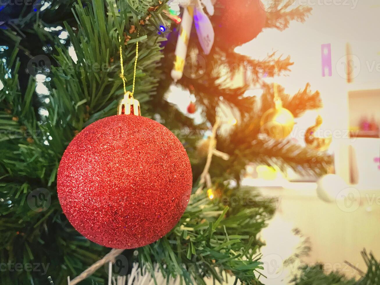 Christmas red ball on pine tree New Year branch with bokeh light. Copy space. photo