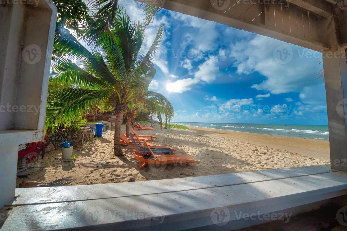 Beach chairs and coconut palm tree with blue sky background on the tropical beach at daytime photo