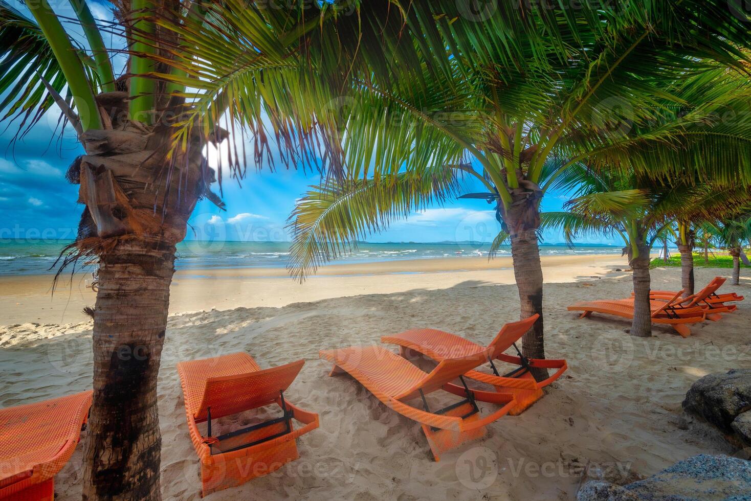 Beach chairs and coconut palm tree with blue sky background on the tropical beach at daytime photo