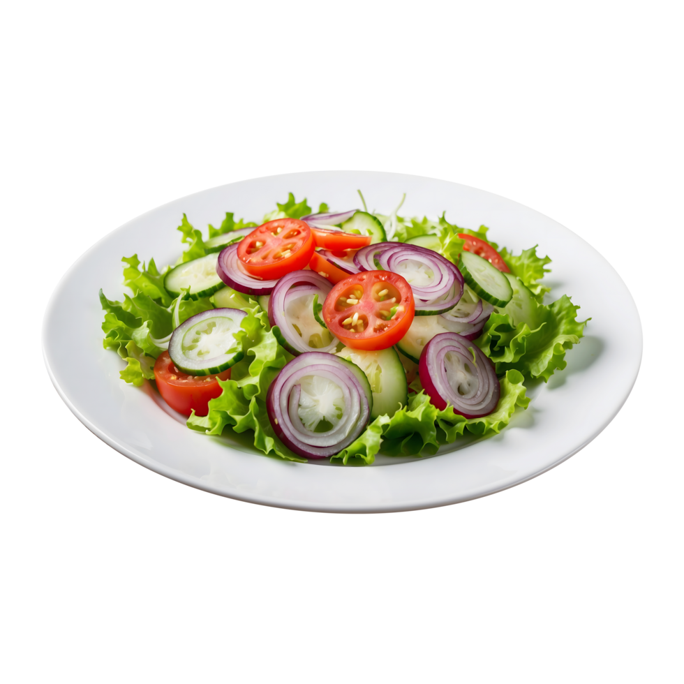 Plate of Onion Tomato Cucumber Lettuce Salad Isolated png
