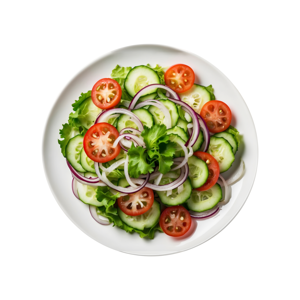 Plate of Onion Tomato Cucumber Lettuce Salad Isolated png