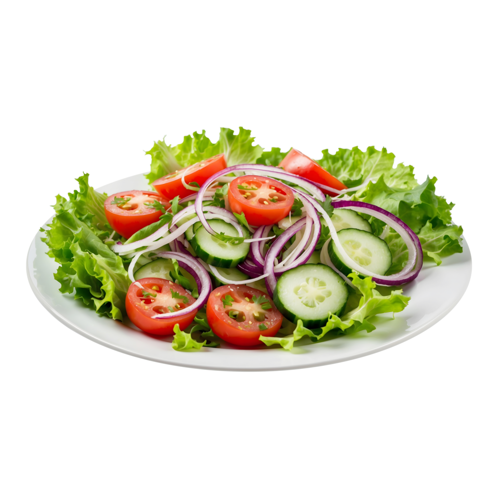 Healthy Plate of Onion Tomato Cucumber Lettuce Salad png