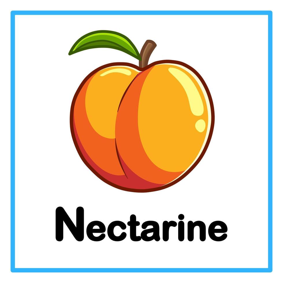 fresh nectarine alphabet illustration vector