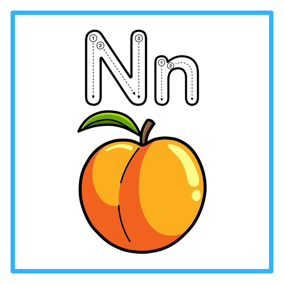 tracing alphabet nectratine illustration vector