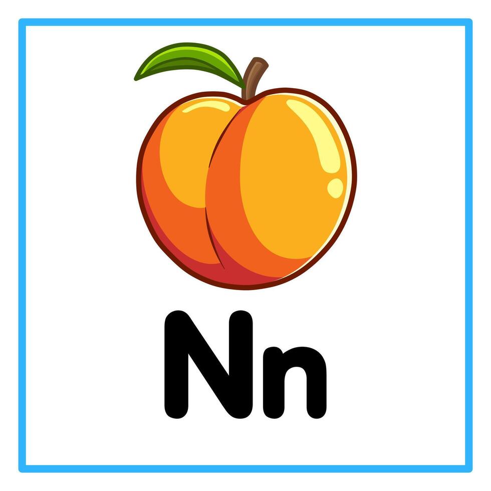 fresh nectarine alphabet n illustration vector