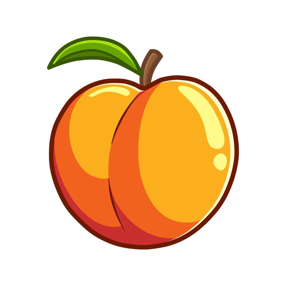 fresh nectarine illustration vector