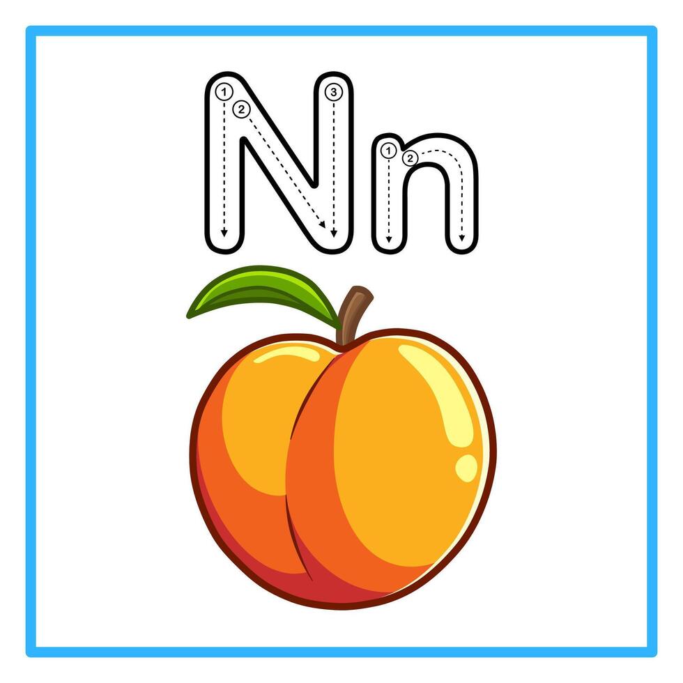 tracing alphabet fresh nectarine illustration vector