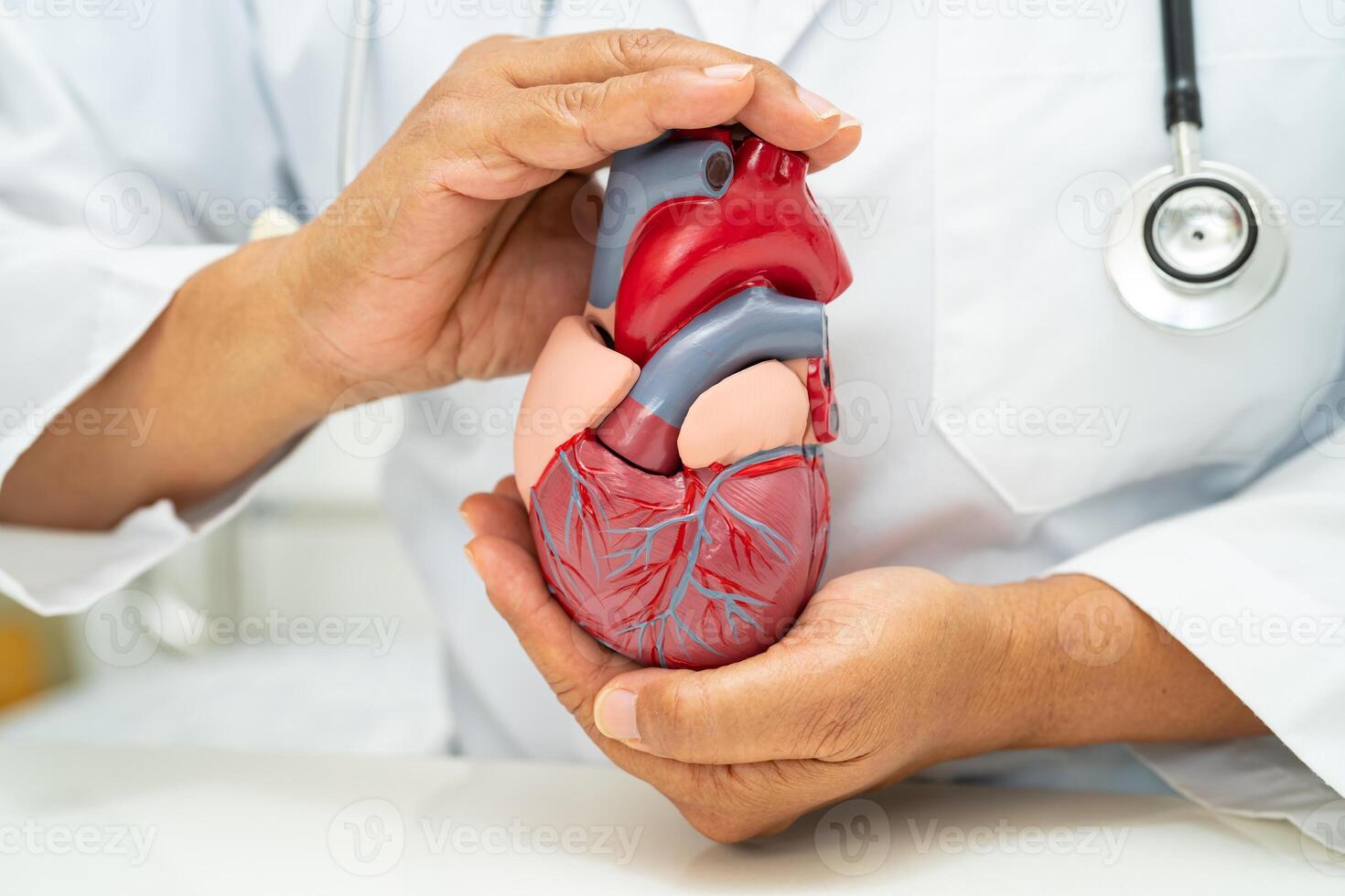 Cardiovascular disease CVD, Asian doctor holding human anatomy model for learn and treat heart disease. photo