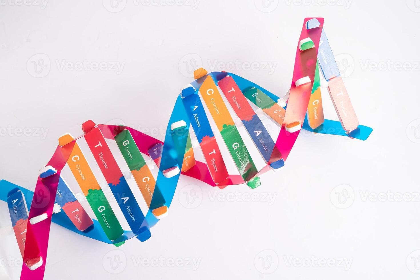 DNA or Deoxyribonucleic acid is a double helix chains structure formed by base pairs attached to a sugar phosphate backbone. photo