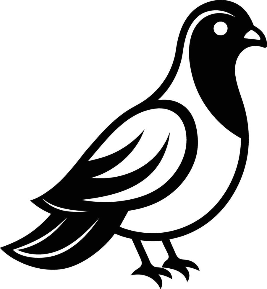 Pigeon or Dove vector