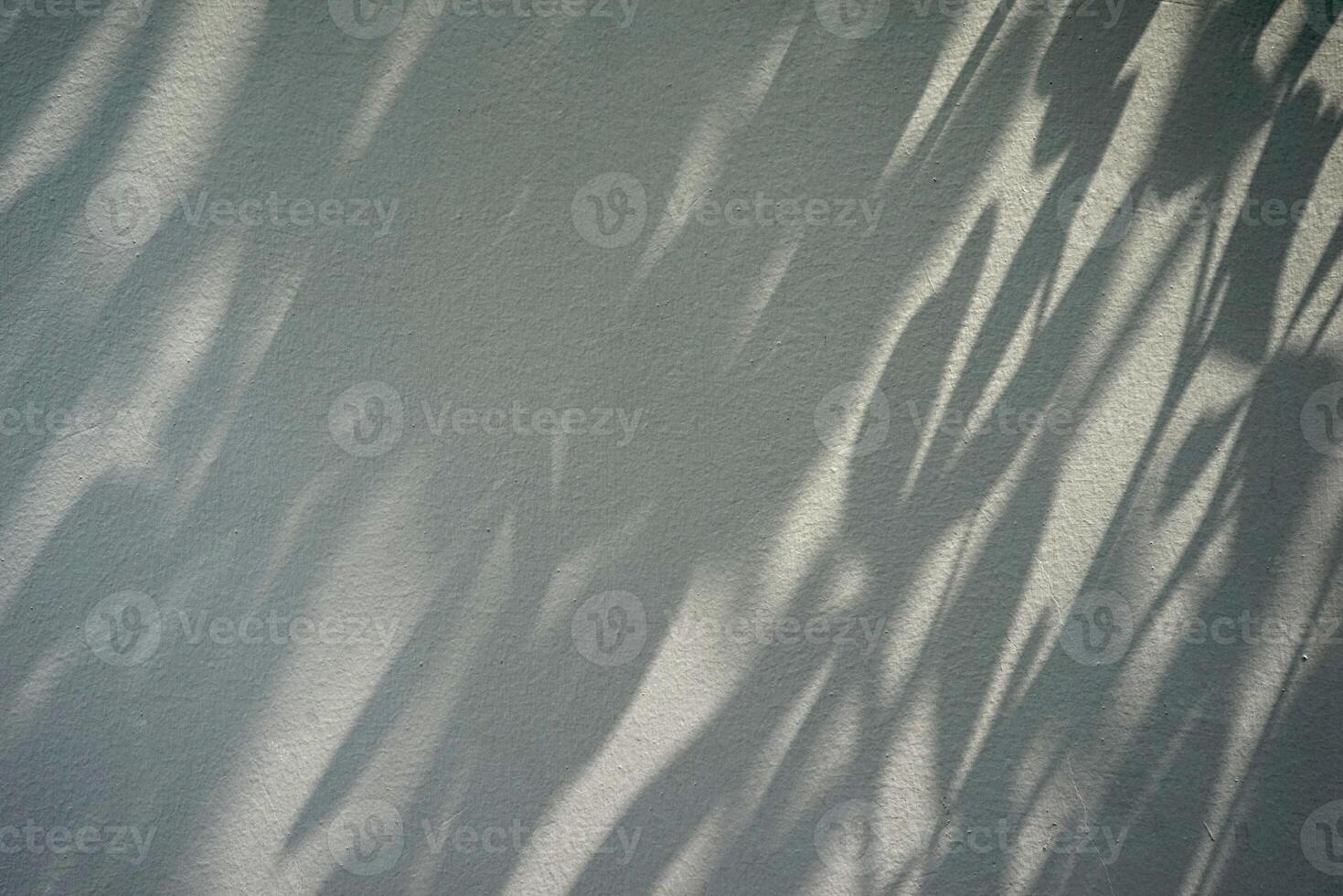 Plant nature shadow reflection with sunlight against cement concrete textured wall background. photo
