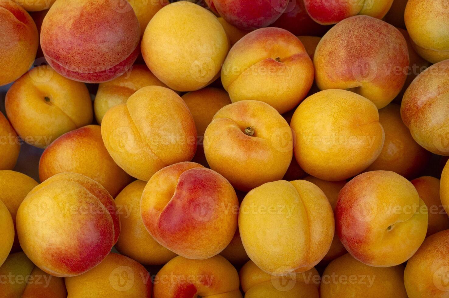 Fresh Apricots for sale at the market. Apricots have many nutrition and healthy benefits. Fruit background and concept photo