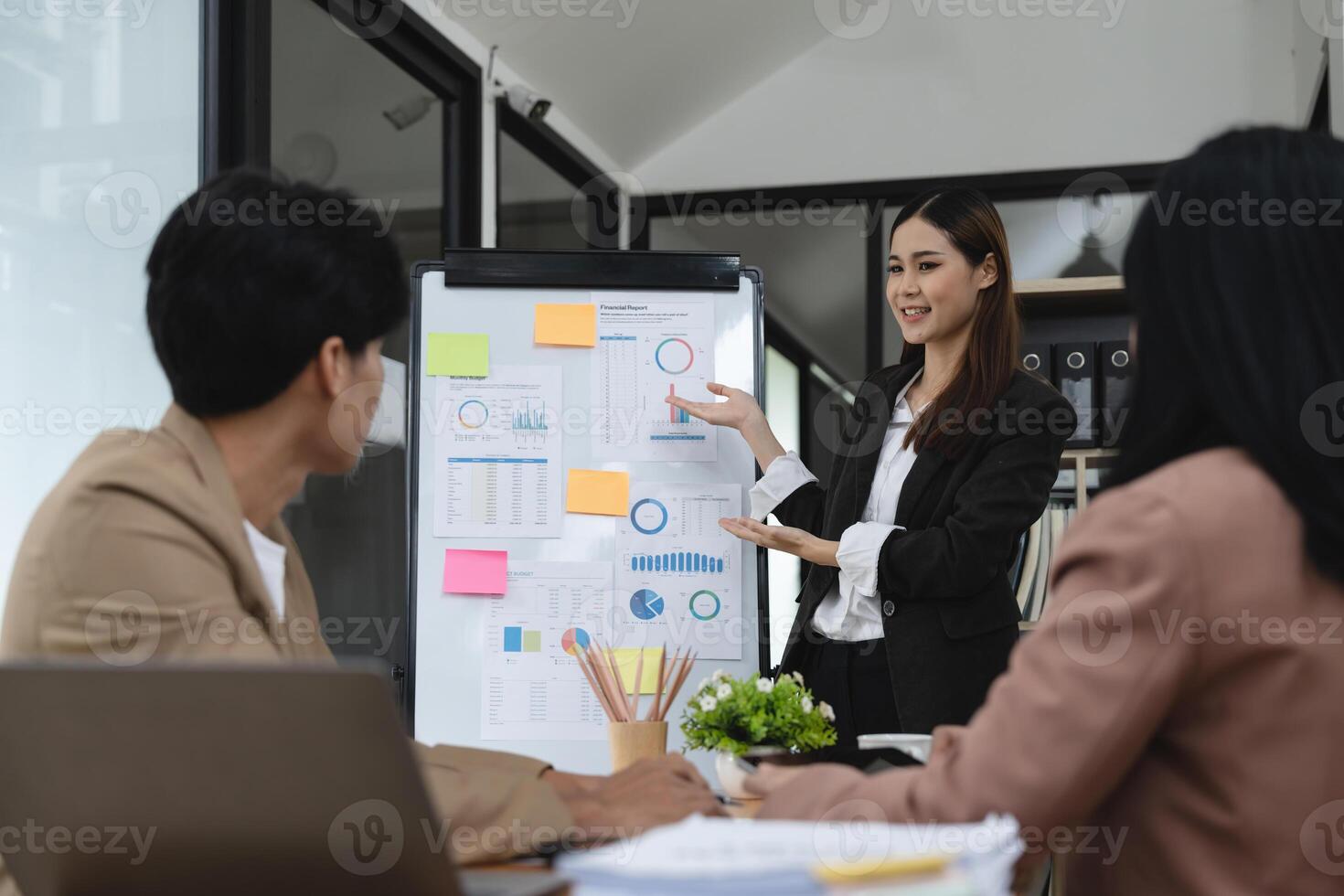 Advisor briefing presentation in conference room project. Corporate staff discussing new business application with colleagues in meeting room. photo