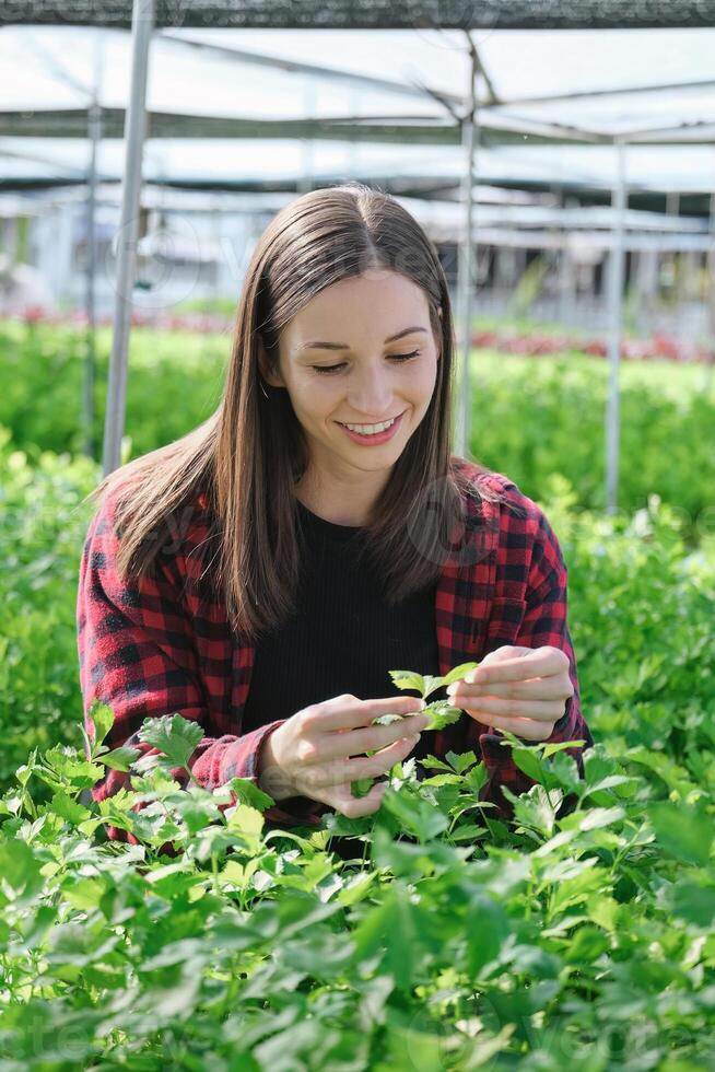 Beautiful female farm owner smiling friendly at the organic vegetable. woman farmer Taking care of vegetable with happiness in greenhouse using technology photo