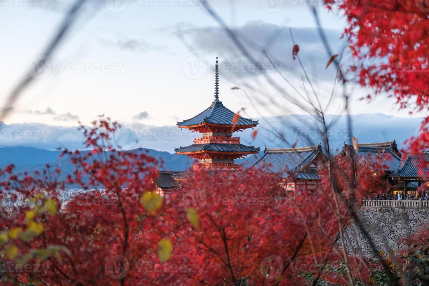 KYOTO, JAPAN, NOV 30, 2023, Autumn colors and Fall foliage at Kiyomizu-dera temple in Kyoto. photo