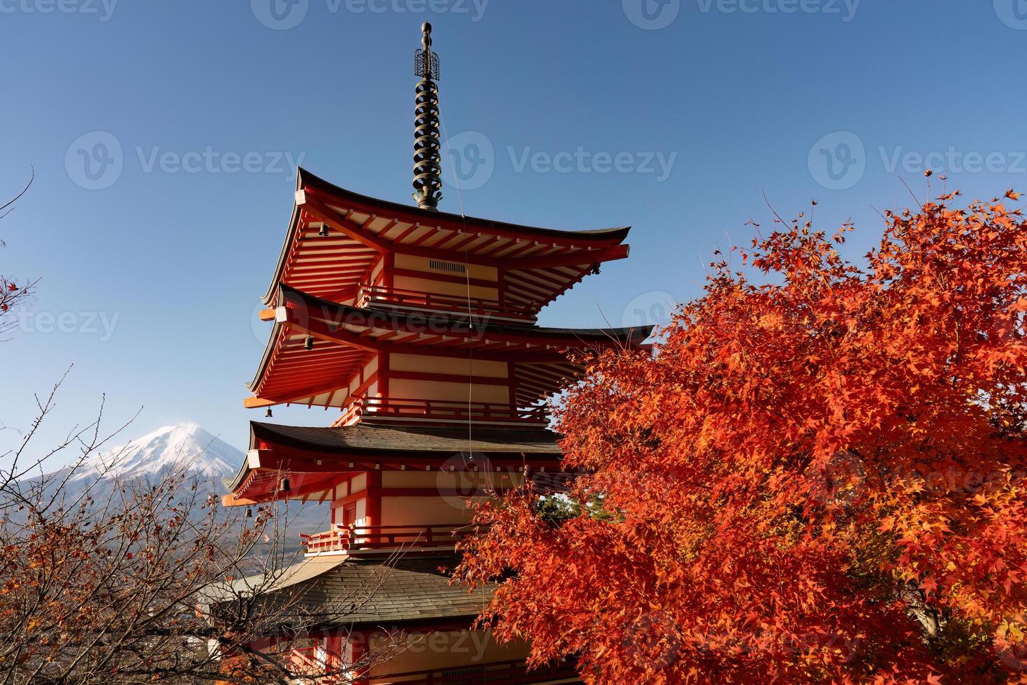Red autumn in Japan. Chureito pagoda in Fujiyoshida with mount Fuji. Beautiful japanese landmark and landscape. Pagoda and autumn tree in Japan seasonal photo