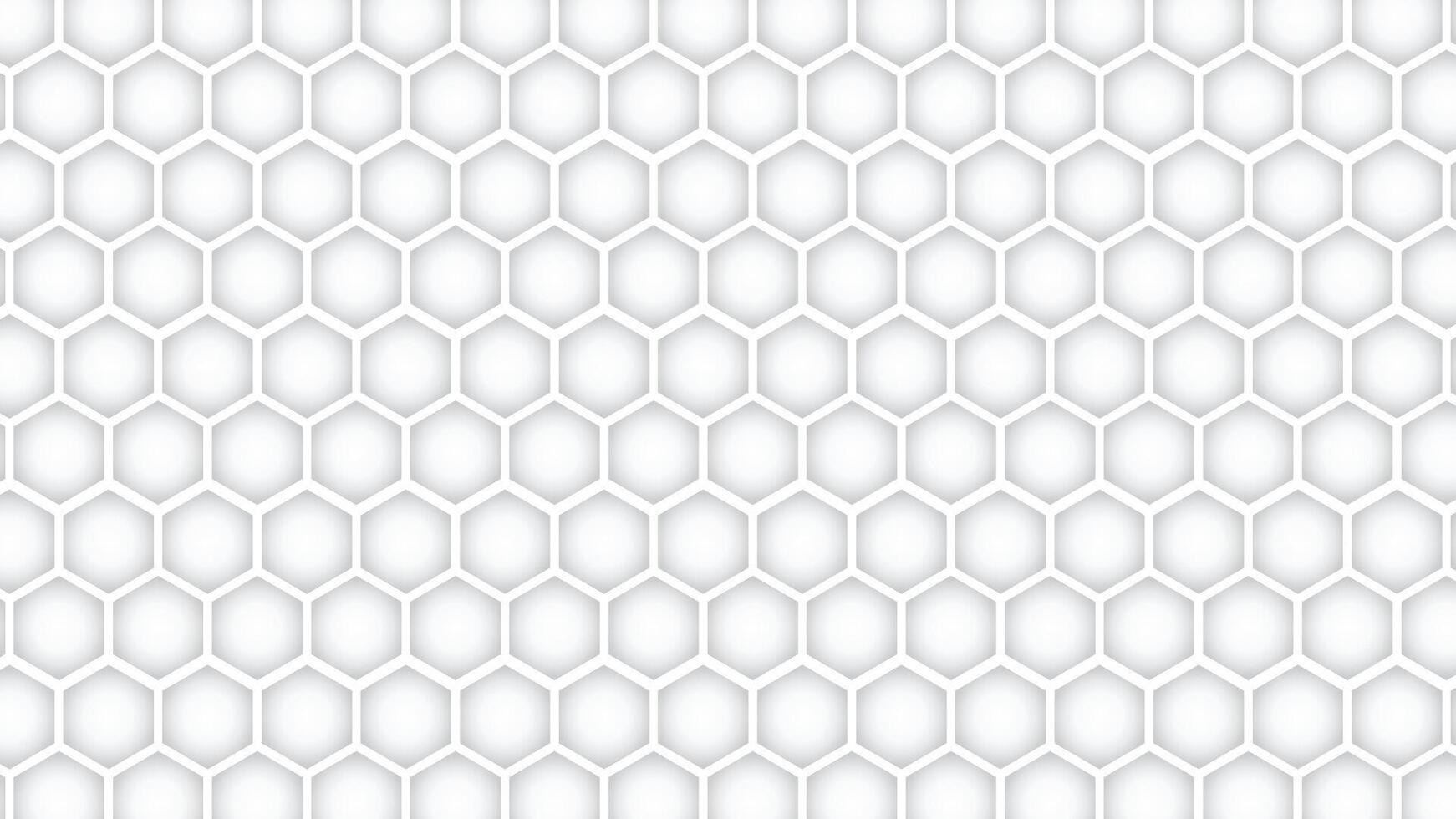 Abstract honeycomb background white. Seamless pattern of the hexagonal netting. Realistic geometric mesh cells texture. Abstract white wallpaper with hexagon grid. vector