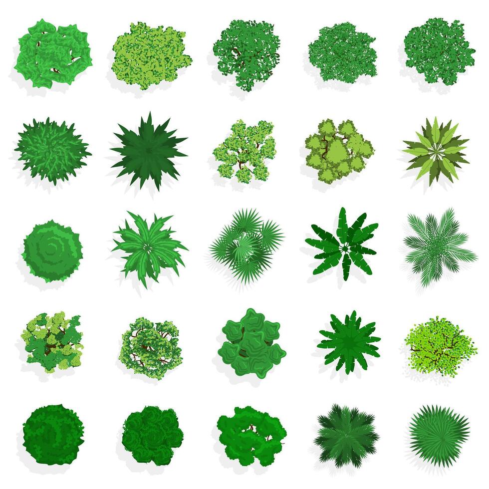 Trees top view. Green plants, bushes, shrubs and trees for landscape or architectural design. Nature green spaces illustration set vector