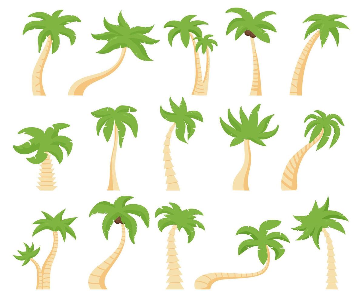 Tropical palms. Green floral palm tree, exotic coconut palm. Exotic hawaiian green palm tree isolated illustration set vector
