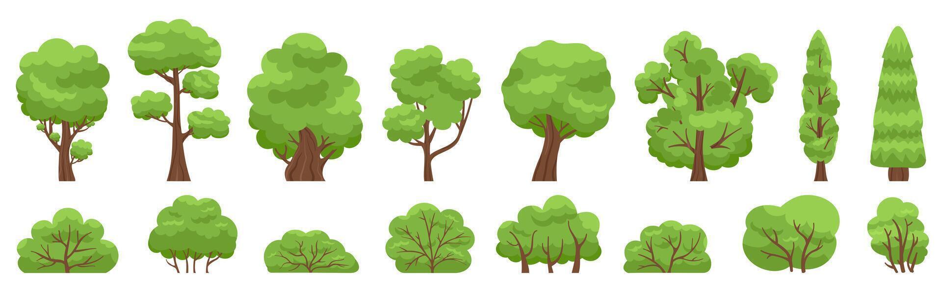Green trees. Forest or garden bush and tree, woody foliage green branches. Nature forest and park green trees illustration set vector