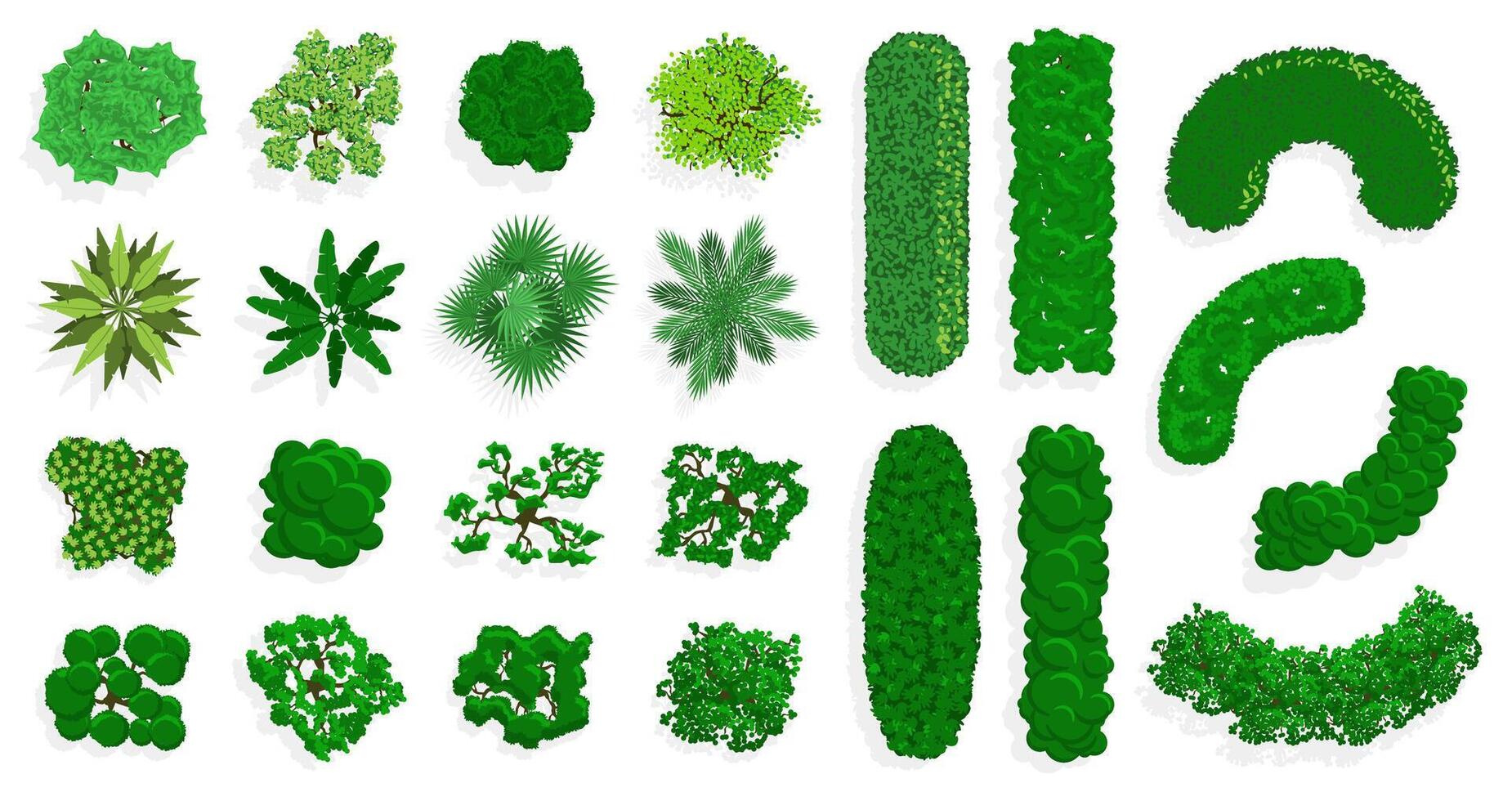 Top view bushes and trees. Green forest or park planting, green fences, bushes and trees view from above. Trees top view illustration set vector