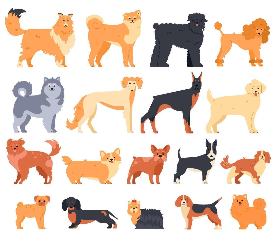 Cartoon dogs. Cute sitting puppies set of various breed. Doberman, malamute and labrador, poodle and corgi isolated pets characters vector