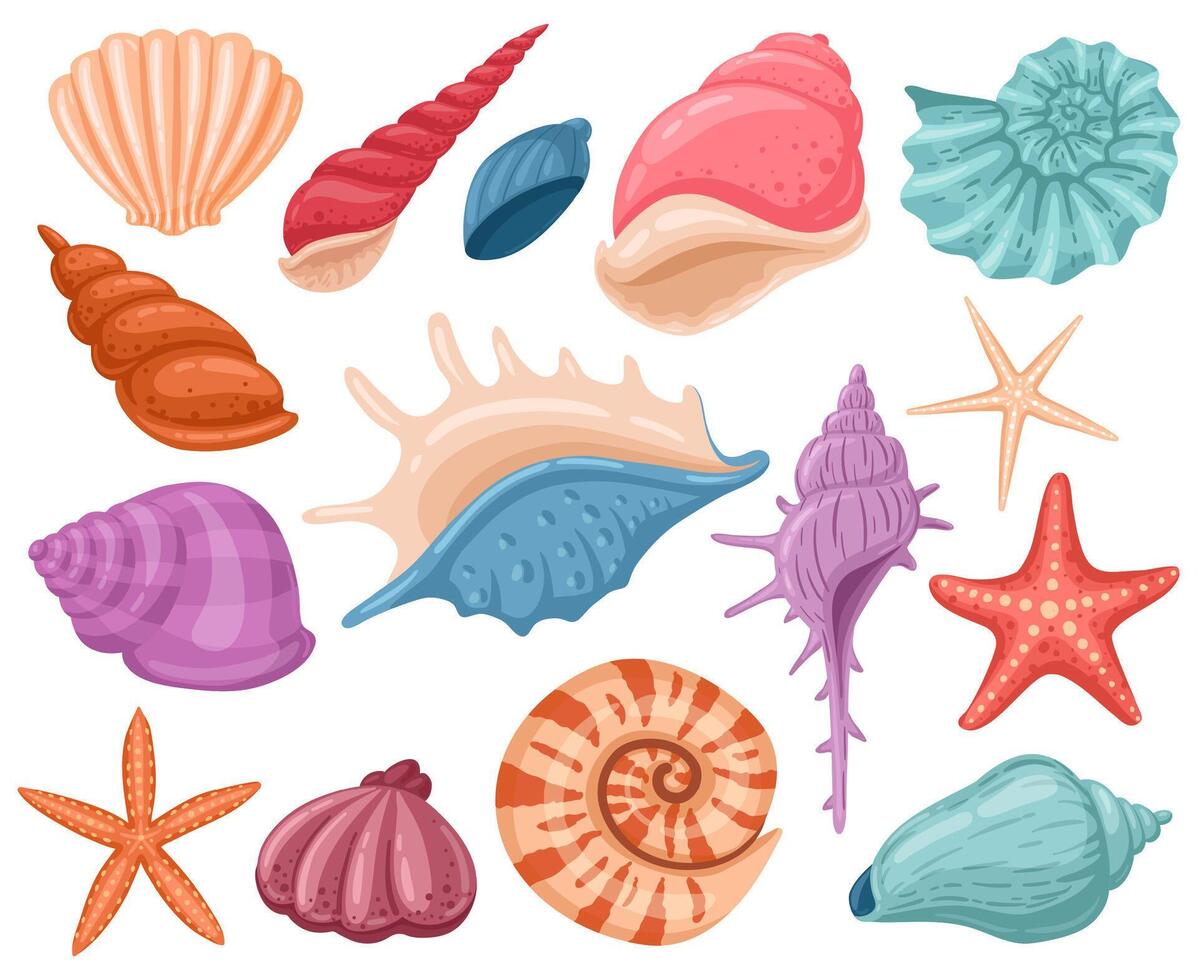 Cartoon seashells. Summer beach sea shells, underwater, ocean reef tropical shells. Marine beach shells decoration illustration set vector