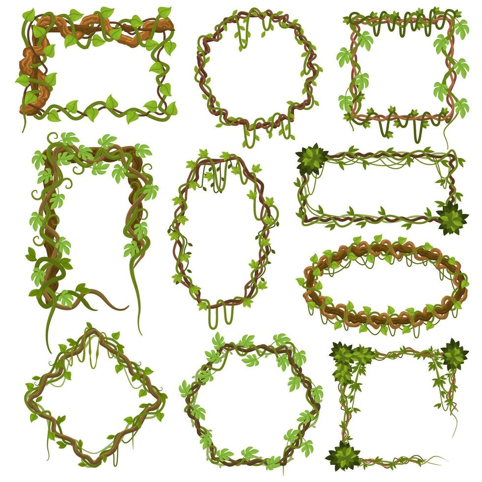 Liana vines frames. Tropical climbing rainforest plants with leaves, jungle liana plants borders illustration set. Green tropical hanging liana frames vector