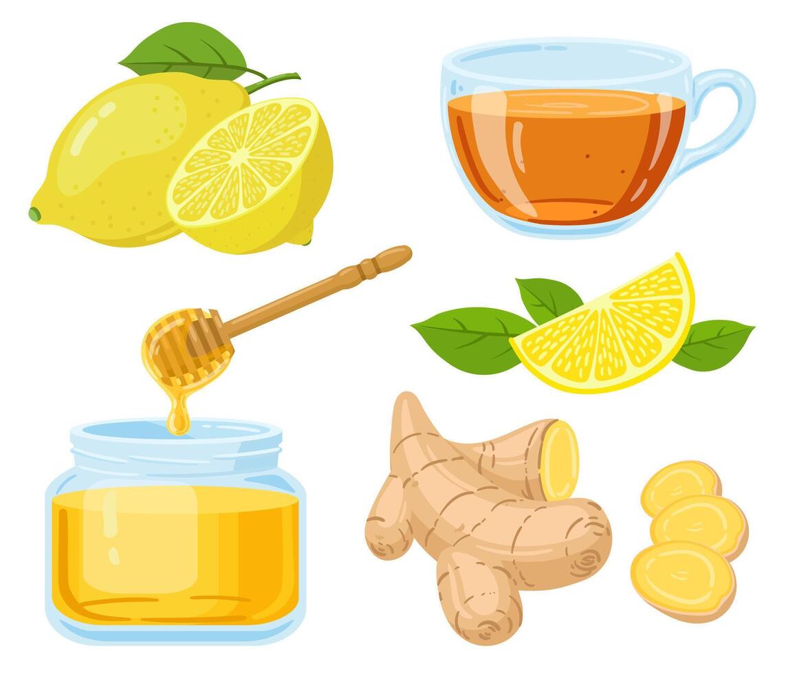 Natural cough remedies. Honey, vitamin c lemon, hot tea and chopped ginger root cartoon illustration set. Natural medicine remedies vector