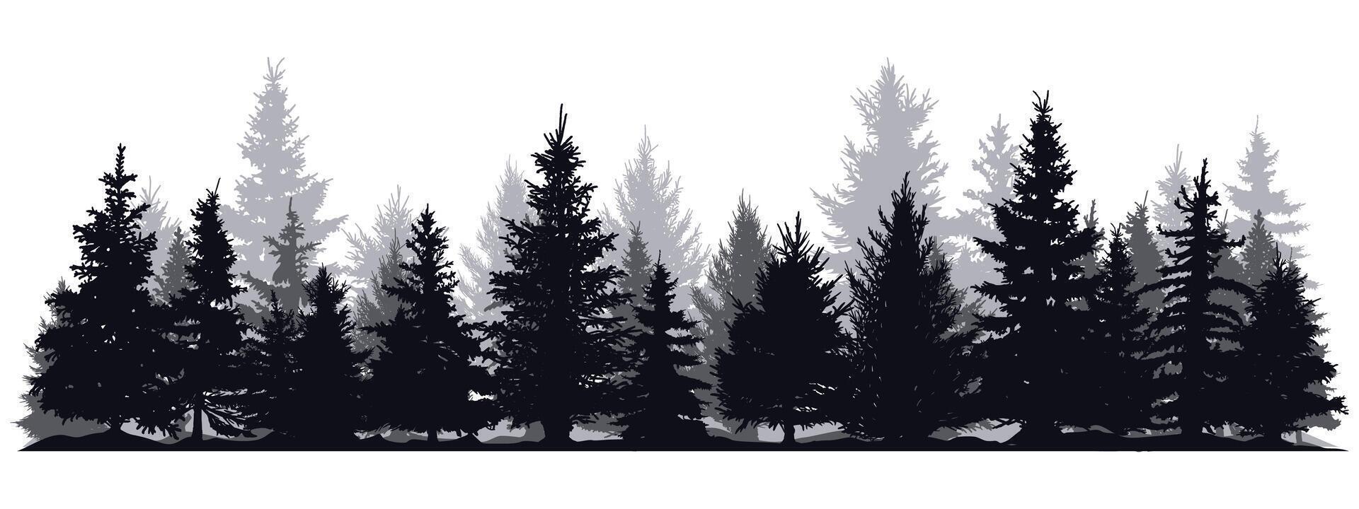Pine trees silhouettes. Evergreen coniferous forest silhouette, nature spruce tree park view illustration. Coniferous woods silhouette vector