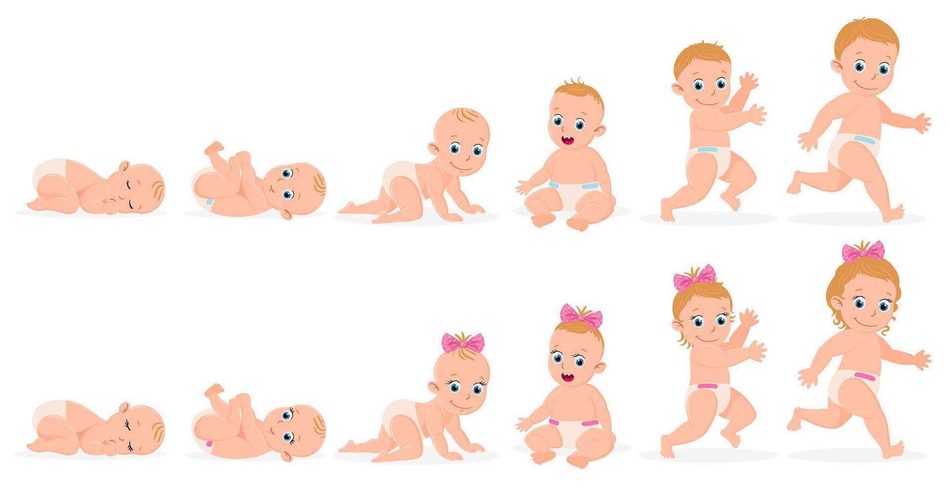 First year baby timeline. Baby boy and girl first year development from newborn to toddler illustration. Cute baby month stages development vector