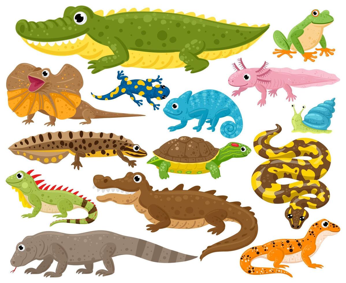 Reptiles and amphibians. Cartoon frog, chameleon, crocodile, lizard and turtle, wildlife animals illustration set. Serpent, reptile and amphibians vector