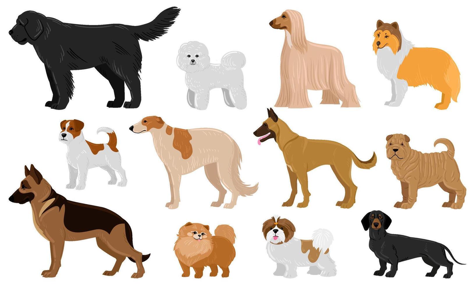 Cartoon puppy dogs breeds pets cute characters. Dachshund, shepherd, malinois and jack russell terrier illustration set. Domestic collie and shar pei dogs vector